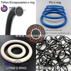 China O anel-O encapsulado, PFA encapsulou o silicone O RingFEP encapsulou o anel-O de FPM fornecedor