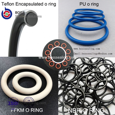 O anel-O encapsulado, PFA encapsulou o silicone O RingFEP encapsulou o anel-O de FPM fornecedor